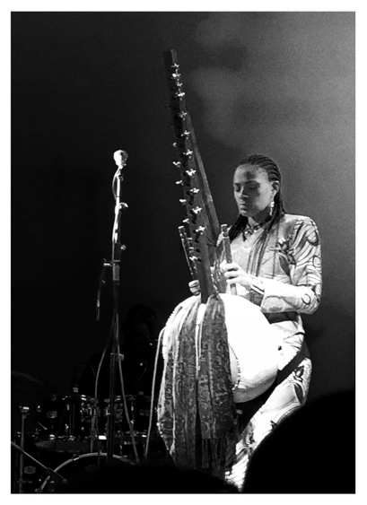 Black and white photo of a seated woman onstage playing a kora on her lap. The instrument consists of a huge calabash gourd resonator with two wooden handgrips and a long hardwood neck extending upwards, with dowels to which taut strings are attached. A patterned scarf is draped over the base of the neck and hangs down over the gourd. The woman wears braids and a long-sleeved patterned gown. She looks down in concentration as she plucks the strings with her thumbs and forefingers while holding the handgrips with her remaining fingers. In front of her is a microphone stand and a drum set is in the background. 