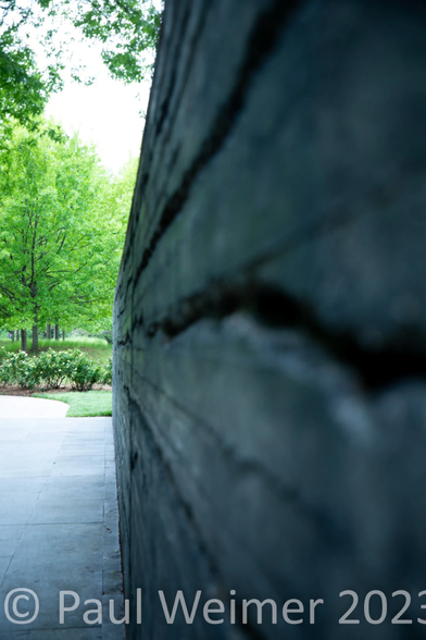 a black wall leading to greenery, playing with the focus here, as I like to do.