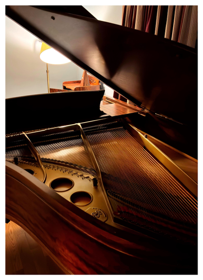 Photo of a grand piano with the curved body closer to camera and the lid propped open, revealing the taut strings stretched across the internal metal frame. In the background are some curtains and a desk lamp, which illuminates the piano and brings out its warm gold and brown tones.