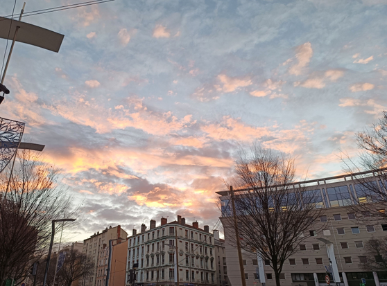 4 photos numériques couleur en format paysage, prises en direction du ciel. Sur celle-ci, les nuages sont éclairés par le soleil levant et sont de couleur rose saumon dans un ciel bleu pâle.
En dessous, des immeubles modernes et plus ancien, des candélabres élancés et des décorations de Noël. 