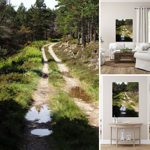 Above coloured photograph featuring the design- 

Sunny Walk through the Scottish Highlands. 

Upper/lower left design itself. 

Upper right design on a Canvas Print on a wall above a couch. 

Lower right design on a Canvas Print on a wall above a table.

I took this photo during a lovely summer nature walk through the Scottish Highlands.

Features a narrow dirt path winding through a dense Pine forest, with patches of sunlight illuminating the way. 

Small puddles reflect the surrounding trees as Heather and Ferns provide an abundance of groundcover. 

Mockups combined in a grid format in canva.com

Click links on the main post for more options.

