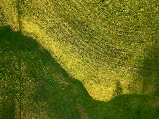 Eine Luftaufnahme einer grasbewachsenen Landschaft mit unterschiedlichen Grüntönen, mit einer geschwungenen Kante auf einer Seite und Schatten, die von Bäumen geworfen werden. Reifenspuren erzeugen Muster im Gras und verbessern die Textur.
