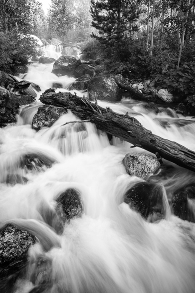 A fast-moving stream cascading vigorously over large rocks and boulders, with a large fallen tree trunk crossing the stream. The banks are lined with dense vegetation and tall trees.