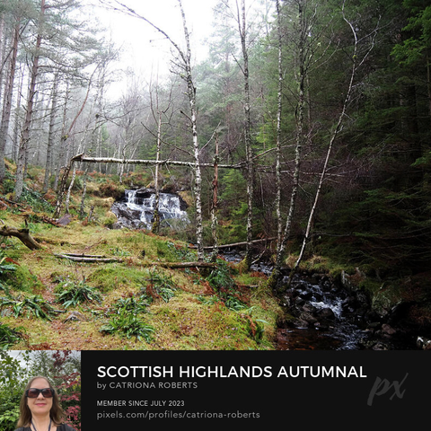 Coloured photograph featuring the design-

Scottish Highlands Autumnal Waterfall.

I took this photo during a lovely autumnal nature walk through the Scottish Highlands. 

Features a lush Pine forest surrounded by a small, cascading waterfall. 

Birch trees are scattered throughout the greenery, creating a tranquil setting.

Click links on the main post for more options.
