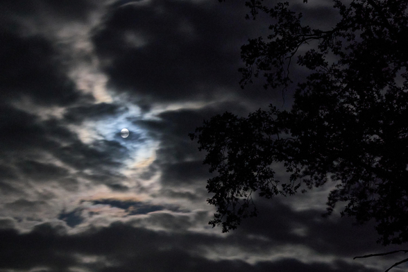 Nachtaufnahme vom Mond hinter einer dicken Wolkendecke. Recht ragt noch die Silhouette eines Baums ins Bild. 