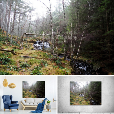 Above coloured photograph featuring the design-

Scottish Highlands Autumnal Waterfall. 

Lower left design on a Canvas Print on a wall above a couch. 

Lower right design on a Canvas Print on an exhibition wall.  

I took this photo during a lovely autumnal nature walk through the Scottish Highlands. 

Features a lush Pine forest surrounded by a small, cascading waterfall. 

Birch trees are scattered throughout the greenery, creating a tranquil setting. 

Mockups combined in a grid format in canva.com

Click links on the main post for more options.
