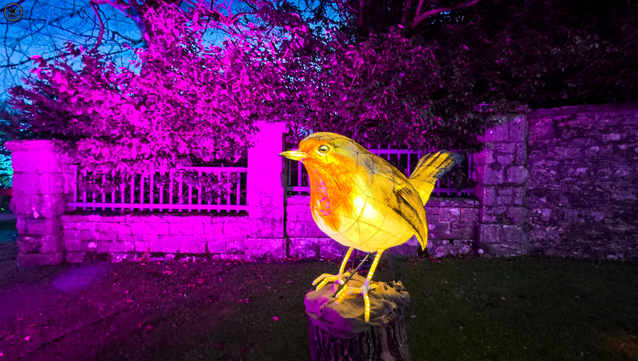 lit up robin model against lighted wall