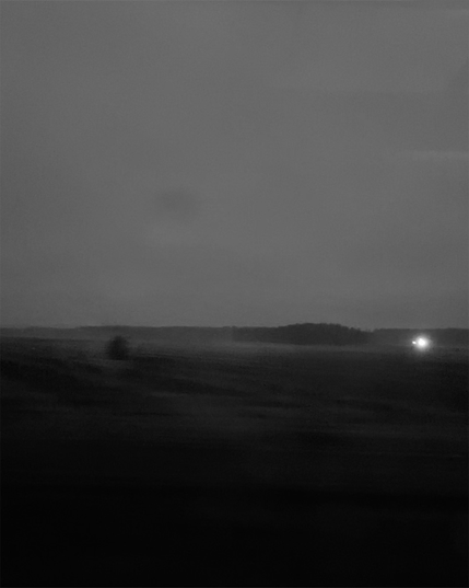 A moody, black-and-white landscape at dusk, featuring a distant forest silhouette and a solitary light in the background.