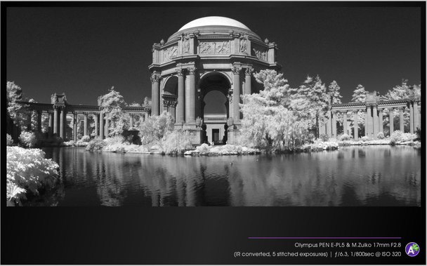 a black and white outdoor photograph. a classical building with columns and a large dome stands beside a large reflecting pool. this is an infrared image, so the bushes and trees around it glow with a bright light while the sky and water are dark. a few waterfowl swim and flap in the pool. tiny people walk among the columns. there are no vehicles in this picture.