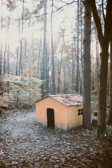 surreal view of kids hut with darkish entrance and window in an overexposed forest