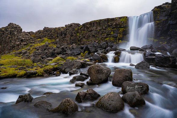 Öxarárfoss – The Heart of Thingvellir National Park, Iceland

Nestled within the rugged cliffs of Thingvellir National Park, Öxarárfoss is one of Iceland’s most captivating waterfalls. This stunning cascade pours gracefully over the edge of the Almannagjá fault, where the North American and Eurasian tectonic plates drift apart. The contrast between the dark volcanic rock and the soft, milky-smooth flow of the water—captured here in a long exposure—creates a scene that feels both powerful and serene.

Öxarárfoss is part of the famous Golden Circle route, making it an accessible yet unforgettable stop for travelers exploring Iceland’s natural wonders. The water from the Öxará River tumbles into a series of rocky pools below, framed by moss-covered boulders and dramatic basalt walls shaped by ancient geological forces.

This place is more than a waterfall—it’s a meeting point of history, nature, and the raw elemental beauty that defines Iceland.

Image:
https://fineartamerica.com/featured/oxararfoss-the-heart-of-thingvellir-national-park-iceland-wayne-moran.html

Read more:
https://waynemoranphotography.com/blog/chasing-light-across-iceland-our-21-day-adventure/

#Öxarárfoss #Oxararfoss #Thingvellir #NationalPark #Iceland #nature #travelPHotogrpahy #Landscape #art #fineart 

#ayearforart #buyintoart