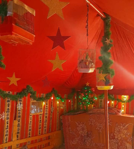 Interior of a decorated tent with a red ceiling, featuring hanging birdcages with birds, star decorations, and a small Christmas tree, indicating a festive setting.