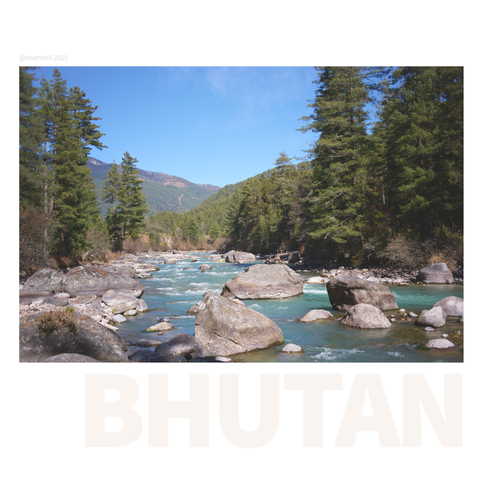 A wide river gently flows towards us, through large boulders, and pine forests edge the shoreline far into the distance.