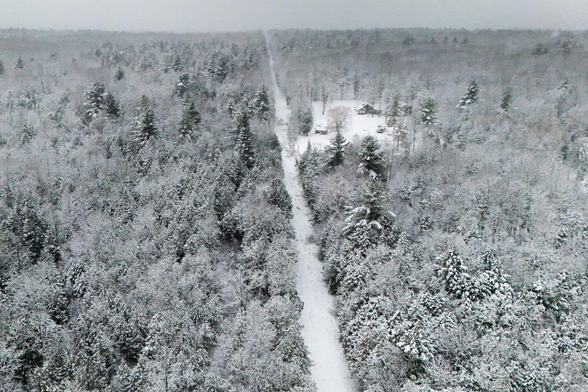 A drone view shows a cut in the trees marking the border between Canada and the U.S. in Champlain.
