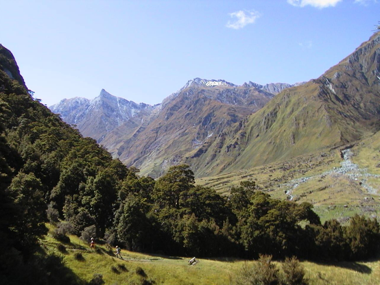 A picture taken on the South Island of New Zealand.  Steep mountains are shown in the distances with a green valley in front of them.  A grove of lush green trees is shown in the foreground.  Two hikers can be seen on a hiking trail in front of the grove of trees.
