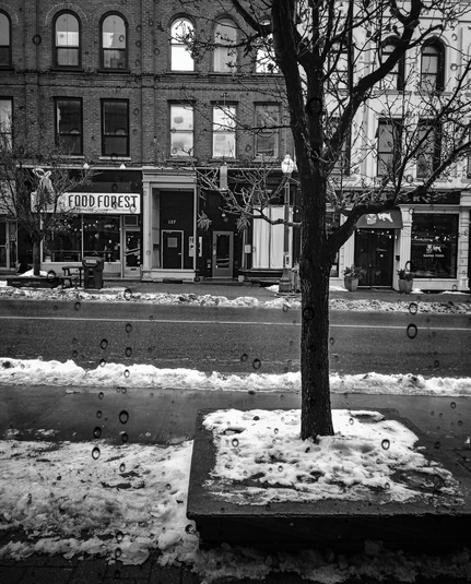 Looking out a rain spotted window onto an urban street. A leafless tree sits in the foreground and tall buildings with shops below are seen on the other side of the row. Piles of snow can be seen on either side of the street in this black and white image.