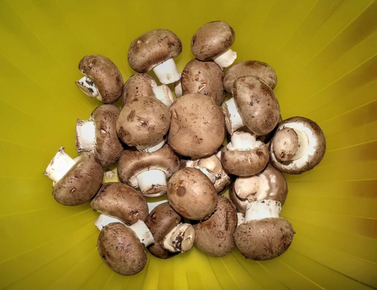 Agaricus bisporus. Brown champignons came first, with the white variety developing later. Their colour shifts as they grow, so button, cremini and portobello give the air of choice while quietly being the same mushroom all along.
Photograph by C. Ferrara
