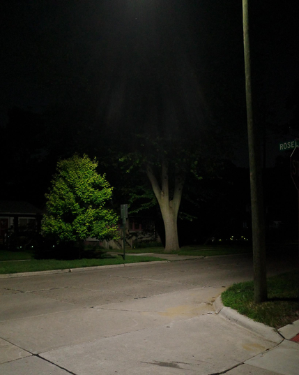 Color photograph looking across a street corner at night. A bright streetlight overhead shines onto empty pavement, lighting up parts of a couple trees in yards across the street, everything behind and above them, outside the light, looking nearly pitch black. There's part of a street sign cut off in the middle of the street name by the right edge of the frame, you can see the word "rose" with the letter L at the end of it