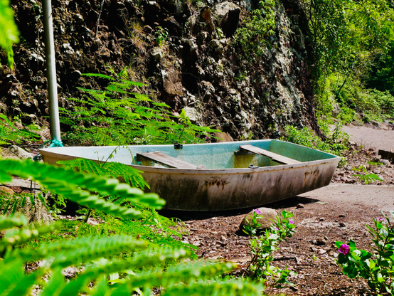 Photo d’une barque à terre, posé à côté d’une falaise sur la page au milieu de la végétation 

Photo of a boat on land, placed next to a cliff on the page in the middle of the vegetation