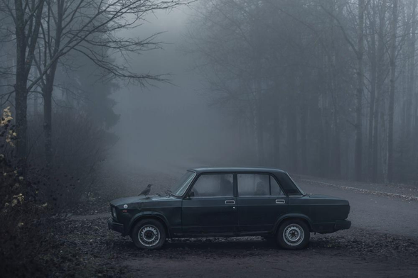dans le petit jour, un oiseau posé sur le capot d'une voiture aux vitres embuées, stationnée sur le bord d'une petite route traversant la forêt noyée dans le brouillard