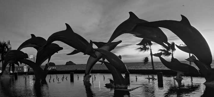 a B&W photo of a source with multiple jumping dolphins at the shore of a beach.