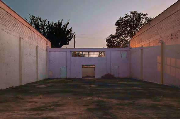 A vacant lot walled in on 3 sides with trees and sky beyond. Early morning pink vibe.
