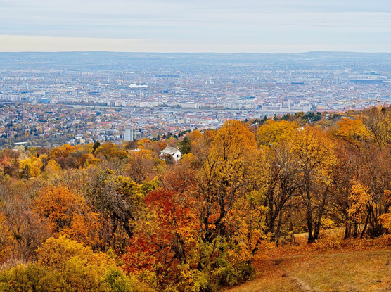 View of budapest from normafa, in late october