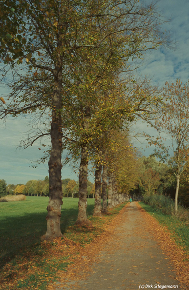 Herbst 2025 an der Burg Vischering im Münsterland.