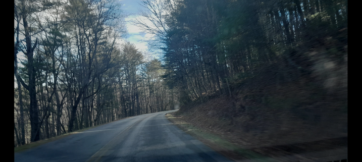 Blue Ridge Parkway lined by thin trees with light blue sky and white clouds