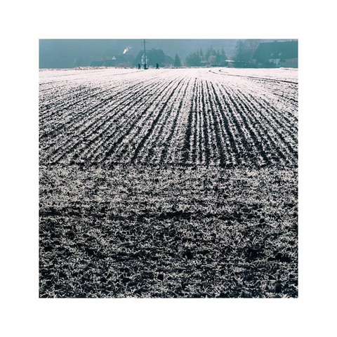 a square image showing a freshly carved field in the foreground. the soil is shimmering by a layer of frost. the leading lines of the field put some emphasis on a few tiny dark figures in the background walking along the horizon line of the image