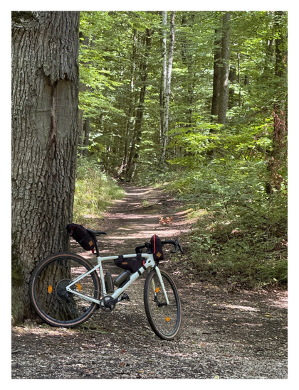 Foto im Hochformat. In einem Wald steht ein cremefarbenes Gravelbike mit dem Hinterrad an einen dicken Stamm angelehnt. Mehrere Taschen und Flaschen sind am Rad angebracht. Richtung Horizont verläuft ein dünner Pfad in den Wald. Es ist Sommer, die Bäume sind grün.