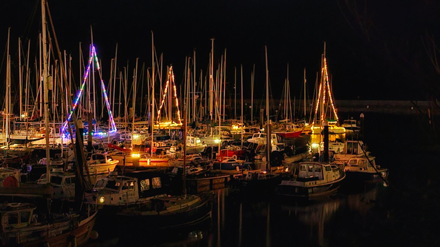 A night-time view of a busy marina where sailboat masts are decorated with strings of festive lights, creating triangular Christmas tree shapes against the darkness. The warm yellow and cool blue lights reflect softly on the calm black water, highlighting the hulls of the docked fishing boats and yachts.