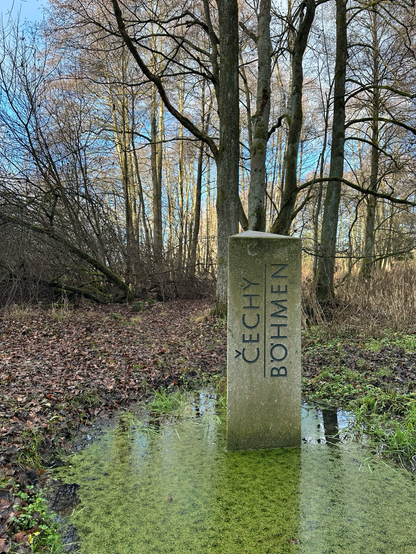 Grenzstein steht im Wasser in einer winterlichen Lichtung im Wald. Darüber blass blauer Himmel 