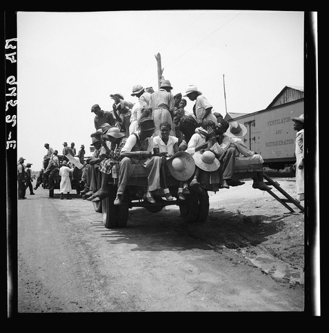 The black and white photograph depicts several individuals crowded on the back of a large truck, which appears to be a makeshift or improvised vehicle. The group is composed primarily of men wearing hats, likely for sun protection, as many have straw boater-style hats that were common during warmer climates. A few women are also present among them, distinguishable by their headscarves and different styles of dress.

They seem disheveled but determined in the face of challenging circumstances. Some passengers lean on wooden beams or hold onto others for stability while navigating what seems to be a dusty road with visible tire tracks indicating regular use as a thoroughfare.

The truck is loaded beyond capacity, suggesting the need for transportation over long distances where alternative vehicles may not have been available or feasible due to economic constraints. The men appear engaged in conversation and looking off into the distance, possibly towards their destination which might be far away from Muscella, Georgia based on the image's caption.

The environment suggests a rural setting with no visible buildings nearby except for what appears to be part of a train car labeled "Ventilator and Refrigerator," suggesting some level of industry or commerce in proximity. The overall condition of the road indicates wear due to frequent use by similar vehicles, consistent with ag [...]