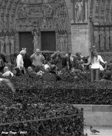 Una fotografía en blanco y negro de la elaborada fachada de la Catedral de Notre Dame de París, con una multitud de personas y palomas en primer plano. La catedral muestra sus intrincadas esculturas góticas, arcos y portales. Numerosos turistas llenan el espacio frente a ella, algunos mirando hacia arriba o tomando fotos. En el centro-derecha, una niña con ropa clara tiene los brazos extendidos y una paloma posada en su cabeza, mientras otras palomas vuelan a su alrededor o caminan por el suelo. Un seto bajo y denso en primer plano separa a los espectadores, y en la esquina inferior derecha, una paloma solitaria camina sobre el pavimento.