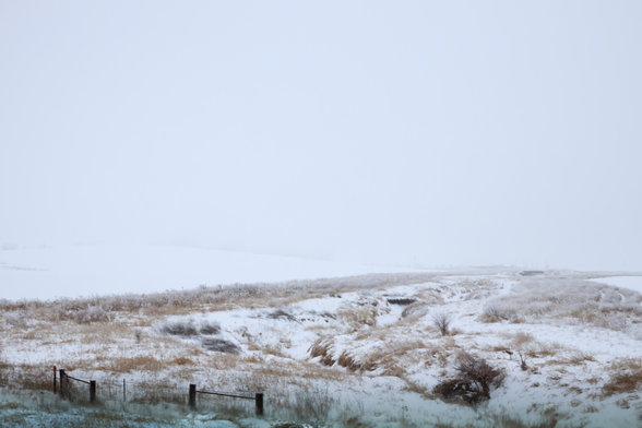 A wide winter landscape is covered in snow and light fog. A small creek winds through the center of the image, bordered by patches of brown grass. A simple wooden fence stands near the lower left. The distant horizon fades into fog, and the scene is soft and muted in tone.