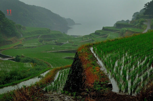 Photo couleur de rizières en terrasse. Les champs de riz occupent l'espace d'une vallée encaissée et se prolongent jusqu'à la mer qu'on voit en arrière-plan. Le temps est couvert et il pleut. C'est le mois de Mai et le riz est planté dans les rizières remplies d'eau.
