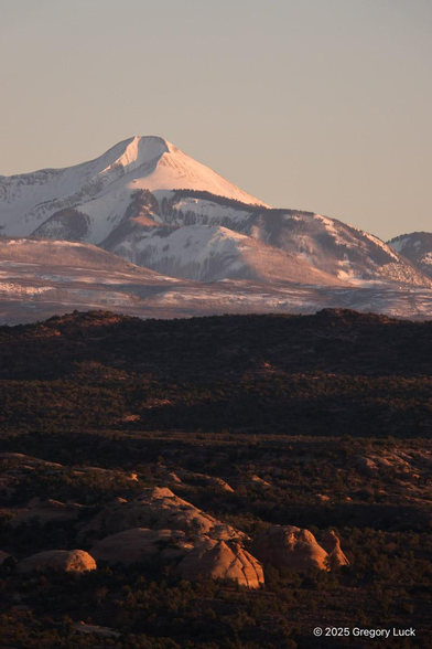 Evening light brightens a snowy peak above pine-trimmed ridges. Closer, far below the snowy elevations, sandstone domes glow amid rolling hills of dark juniper forest.