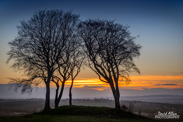 A clump of trees growing on an Bronze Age barrow at Houghton-le-Spring in NE England and captured just after sunset.