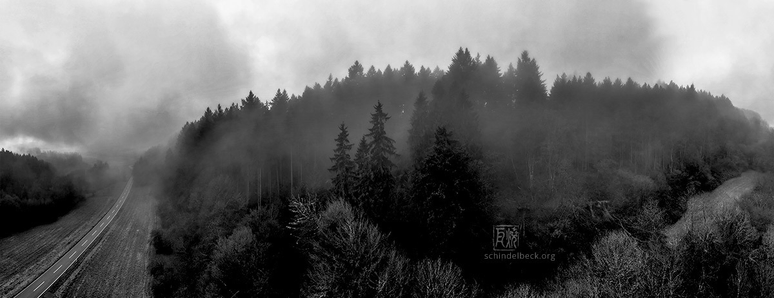 Odenwald - Schwarzweißaufnahme mit einer Straße und Wald - Frank Schindelbeck Fotografie