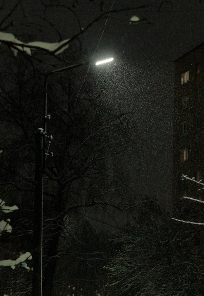 It's late in the evening, the lantern is shining, it's snowing. The branches of a tree are visible in the foreground, and in the background is a part of a multi-storey building with burning windows.