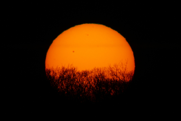 Photograph of a large yellow sun against a black sky with trees in silhouette at the bottom of the sun and sunspots on the sun.