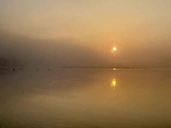 A serene scene featuring a misty landscape at dawn, with a low sun emerging from the fog over a calm body of water. Silhouetted trees line the shore, and rocks can be seen along the water's edge. The atmosphere is tranquil.