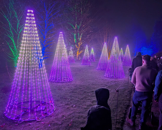 Several cones made of vertical strings of LEDs stretch into the distance along a patch of grass. Their bottom half purple, which fades to white, then pink near the top. The cones are taller than the people watching them on the path along the right side of the photo. In the foreground stand two boys with their hoods up. The trees in the background are lit up in blue, green and orange.