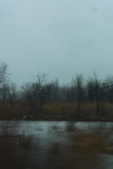 The ponds across the road from Gary Airport. Toxic but solumn and beautiful. This time of year, they're frozen over and snow covered. Trees that are really trying hard but looking pretty gnarly are doing their best to thrive in the muck.