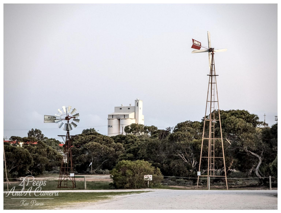 A photograph taken in Penong, South Australia, featuring two iconic, tall windmills standing prominently against a pale sky.

In the background, partially obscured by trees, is a large white grain silo structure. The foreground shows a dusty ground and low scrub.