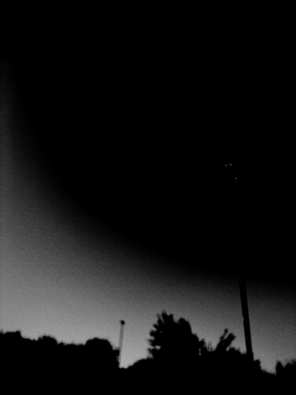 A black and white photo showing a tree linear twilight, but with a finger obscuring the upper half of the frame.