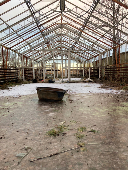 A frozen abandoned greenhouse.