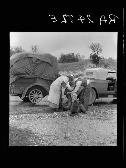 A black and white photo depicts two individuals in vintage clothing, attending to a wheel on an old vehicle. The setting appears rural with rolling hills visible in the background; another covered cart is also present beside them, suggesting they are part of a larger caravan or traveling group. A bear cub stands close by, adding a sense of companionship and perhaps necessity for protection against wildlife commonly associated with travel through remote areas during that era.