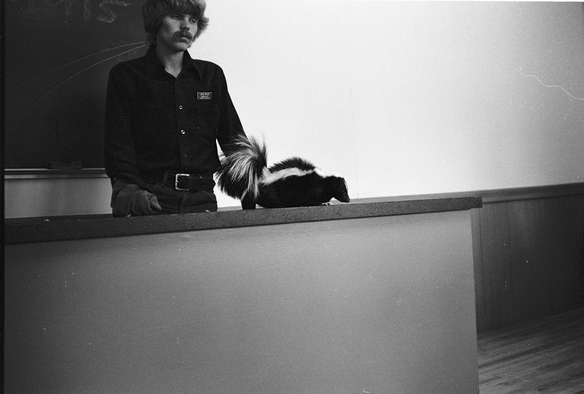 A tired looking man behind a desk.  On the desk is a skunk.  It's a black and white photo with retro style.